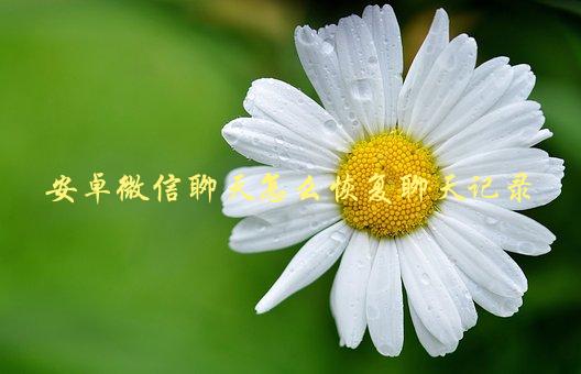 安卓微信聊天怎么恢复聊天记录，详细步骤教程-1