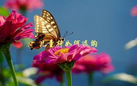 儿童椅如何选购，哪些要素需要考虑