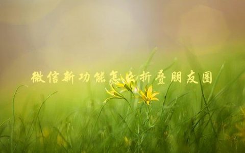 微信新功能怎么折叠朋友圈，快速掌握折叠朋友圈的方法