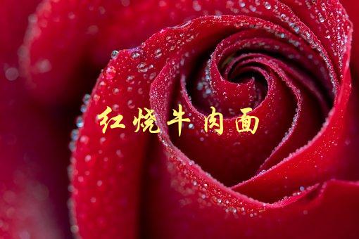 红烧牛肉面(如何做出口感极佳的美味佳肴)-1