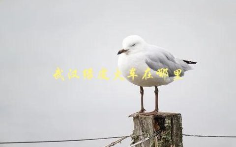 武汉绿皮火车在哪里，如何查询车次及时刻表