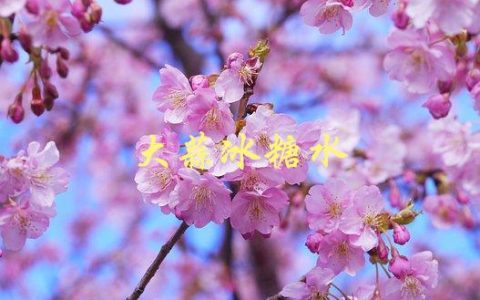 大蒜冰糖水(有哪些神奇功效)