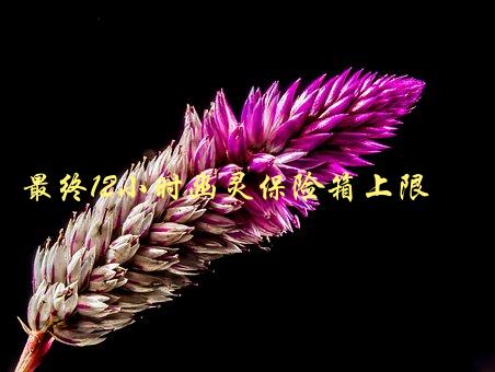 最终12小时幽灵保险箱上限，如何解决存储问题-1