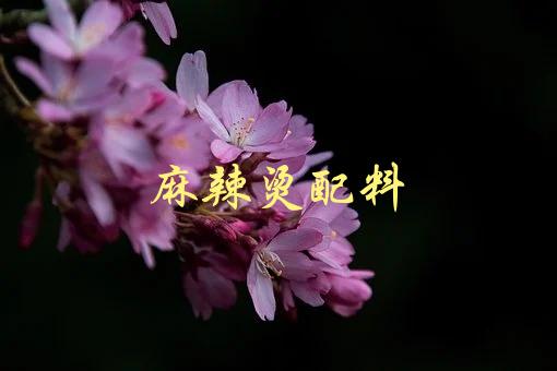麻辣烫配料(哪些配料最适合搭配麻辣烫？)-1