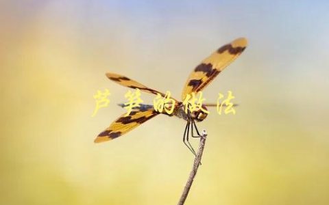 芦笋的做法(有哪些简单易学的做法推荐？)