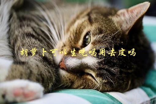 胡萝卜可以生吃吗？去皮会影响其营养价值吗-1