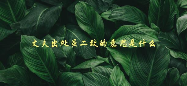 丈夫出处虽二致的意思是什么，解析夫妻关系中的矛盾-1