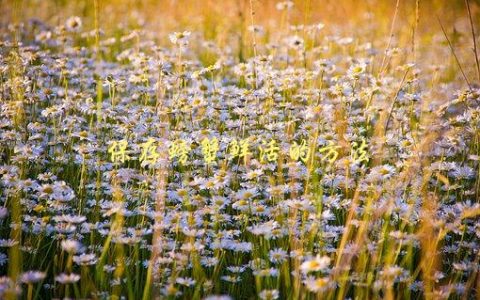 保存螃蟹鲜活的方法，有哪些简单易行的技巧？