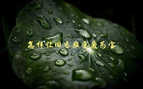 怎样让旧衣服变废为宝，有哪些创意DIY方法