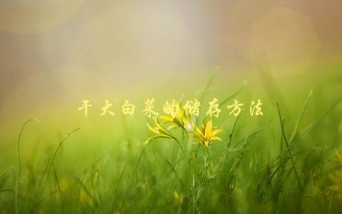 干大白菜的储存方法，如何让它保持新鲜