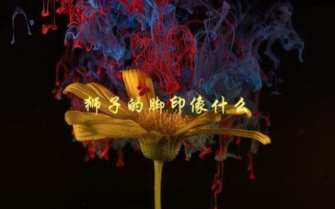 狮子的脚印像什么，如何识别野生动物的踪迹