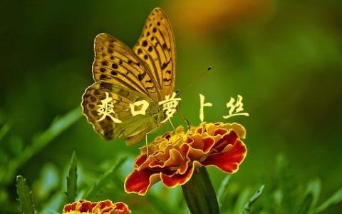 爽口萝卜丝(如何制作最佳口感)