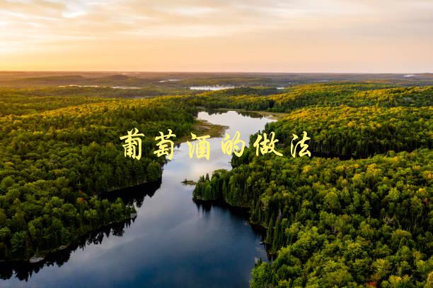 葡萄酒的做法(如何在家中制作自己的葡萄酒)-1