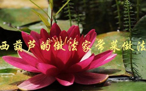西葫芦的做法家常菜做法(有哪些简单易学的做法推荐？)