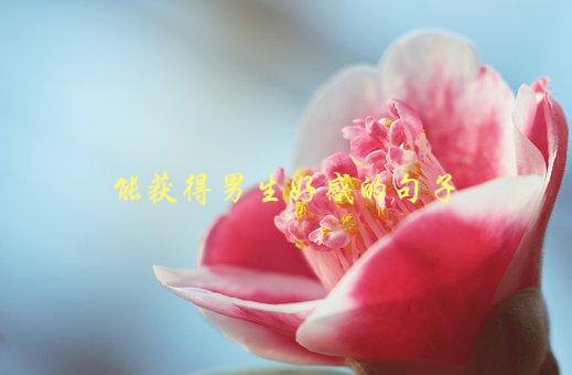 能获得男生好感的句子，你知道哪些让男生心动的话题？-1
