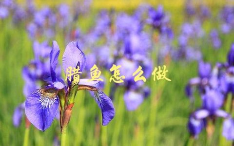 腊鱼怎么做(教你制作美味腊鱼的步骤)
