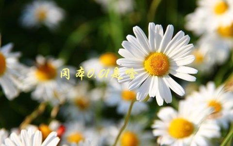 冈本0.01是啥，为什么这个避孕套备受推崇