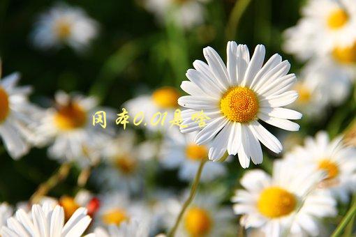 冈本0.01是啥，为什么这个避孕套备受推崇-1