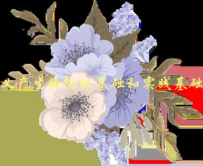 主义产生的阶级基础和实践基础是什么-1