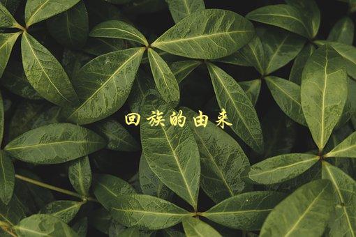 回族的由来，历史渊源和文化传承-1