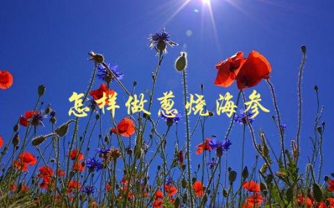 怎样做葱烧海参(海参煮烂的秘诀是什么？)