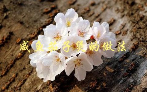 咸鱼茄子煲的做法(怎样才能做出香喷喷的家常菜)