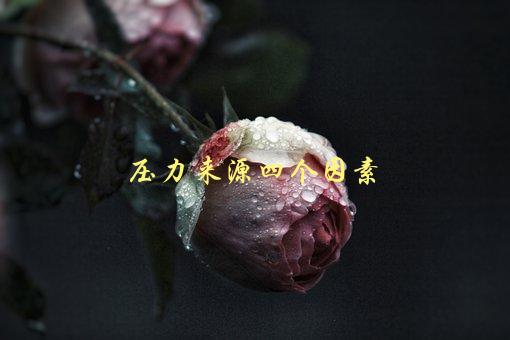 压力来源四个因素，你知道吗？-1