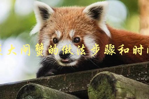 蒸大闸蟹的做法步骤和时间(怎样做出完美口感)-1
