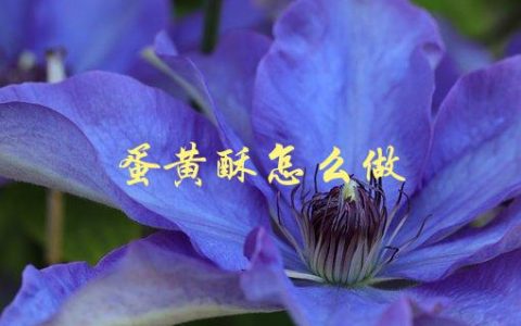 蛋黄酥怎么做(简单易学的制作方法)