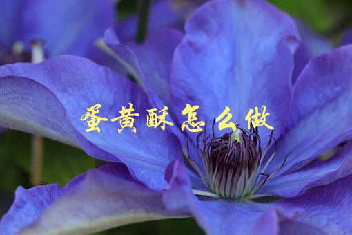 蛋黄酥怎么做(简单易学的制作方法)-1