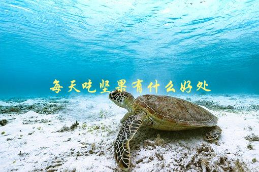 每天吃坚果有什么好处，你知道吗？-1