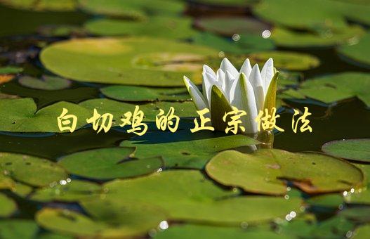 白切鸡的正宗做法(如何做出口感鲜嫩的白切鸡)-1