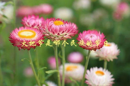火把节是哪个民族的节日，揭秘中国彝族的传统庆典-1