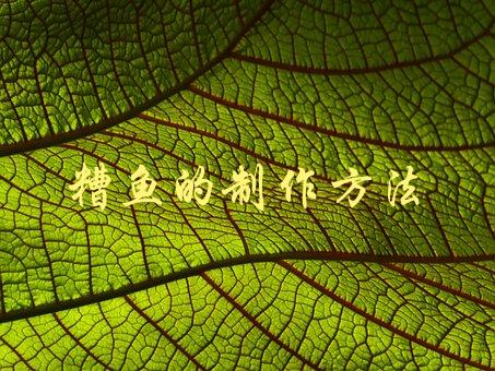 糟鱼的制作方法(如何在家中轻松制作美味糟鱼)-1