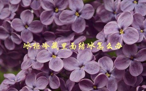冰柜冷藏里面结冰怎么办，快速解决方法