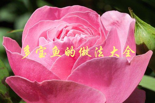 多宝鱼的做法大全(怎样做出口感鲜美的多宝鱼料理)-1