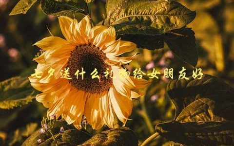 七夕送什么礼物给女朋友好，有哪些实用又浪漫的推荐？