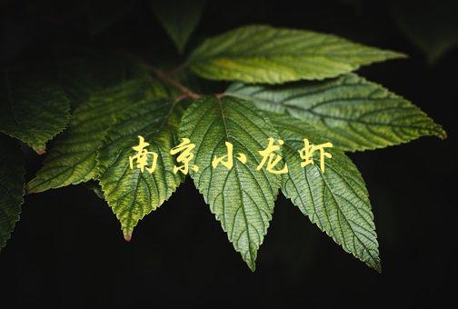 南京小龙虾(哪里有最正宗的口感)-1