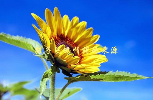孩子悲观情绪的来源，如何帮助孩子走出情绪低谷-1