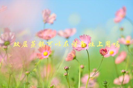 双层蒸锅可以在煤气灶上用吗？，使用双层蒸锅的正确姿势-1