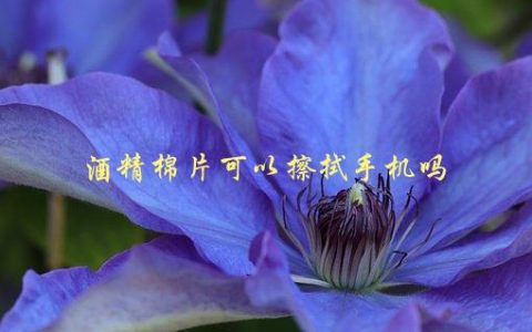 酒精棉片可以擦拭手机吗，会对手机有损害吗