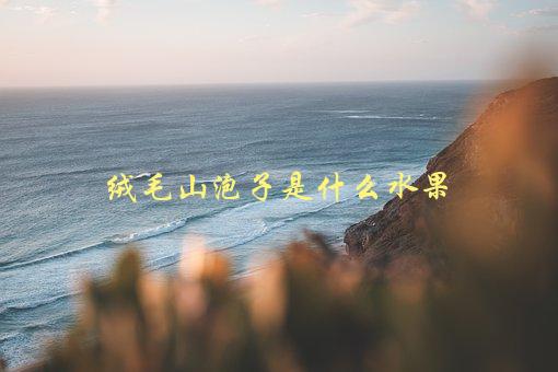 绒毛山泡子是什么水果，来一份全面解析-1