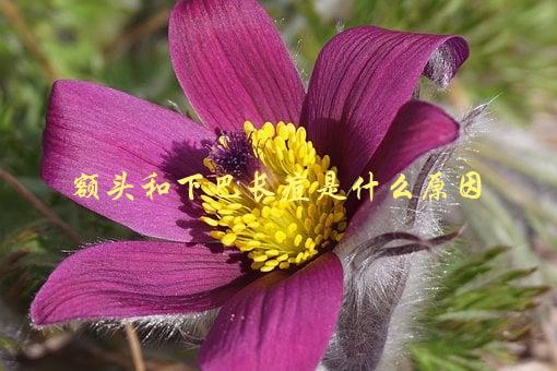 额头和下巴长痘是什么原因，揭秘常见的痘痘形成原因-1