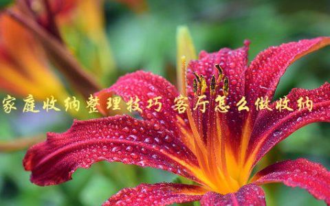 家庭收纳整理技巧 客厅怎么做收纳，有哪些实用方法和技巧？