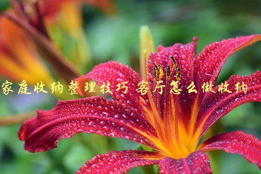 家庭收纳整理技巧 客厅怎么做收纳，有哪些实用方法和技巧？-1