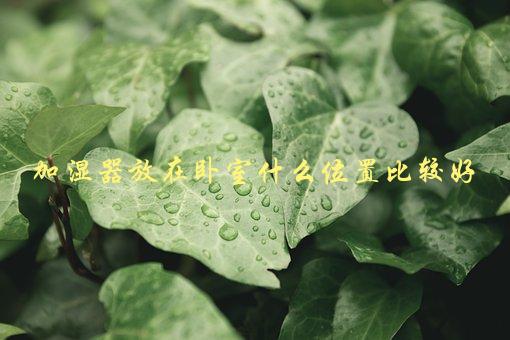 加湿器放在卧室什么位置比较好，如何提高湿度效果-1