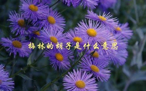 梅林的胡子是什么意思，揭秘《亚瑟王》传说中的角色形象