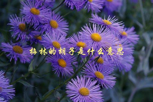 梅林的胡子是什么意思，揭秘《亚瑟王》传说中的角色形象-1