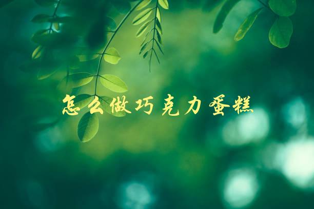 怎么做巧克力蛋糕(简单易学的制作步骤)-1