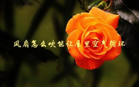 风扇怎么吹能让屋里空气循环，小技巧让你的房间更加通风